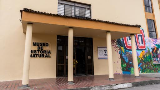 Museo Historia Natural Universidad del Cauca: ubicación e historia