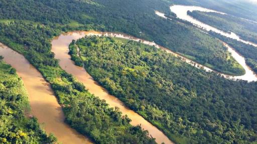 El Atrato, un río con derechos lastimados pese a histórico fallo en Colombia