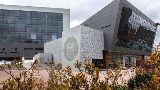 Denuncia Defensoría del Pueblo paro armado en Caquetá