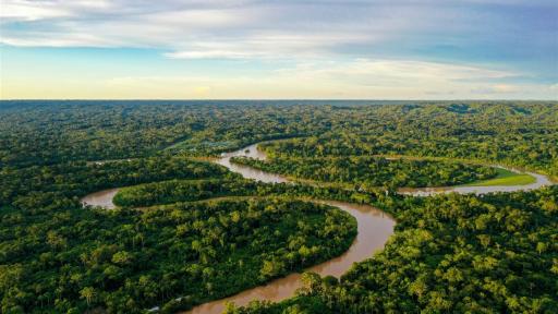 Gobierno destaca 16% menos deforestación en la Amazonía