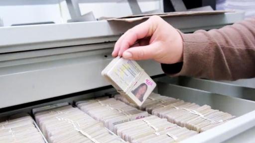 ¿Qué hacer si me roban los documentos de identificación? | Denuncias, páginas, y pasos