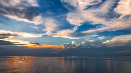 Origen e historia de la vida: descubrimiento pone en duda teorías 