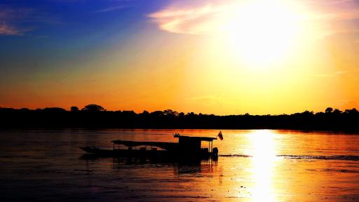 ¿Cómo cuidar el medio ambiente 5 ejemplos?
