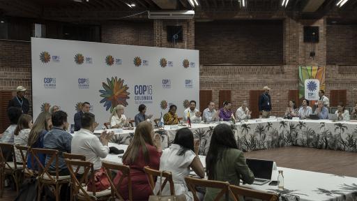 COP16 en Cali: presidentes que participarán de la cumbre