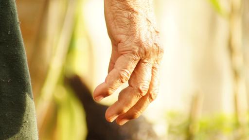 Música colombiana sobre la memoria y el retorno a la tierra