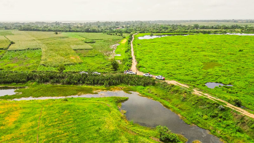 Ciénaga Grande del bajo Sinú, Córdoba