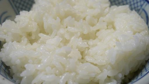 Alimento híbrido que mezcla arroz y células de res | Universidad Yonsei