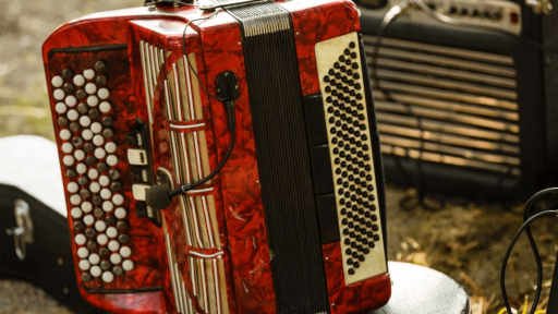 Festival Vallenato al Parque 2024 Bogotá: artistas, programación, horarios