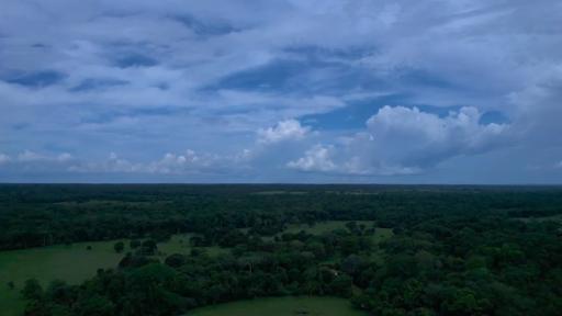 Reforestación en Amazonas: acuerdos con campesinos en Guaviare