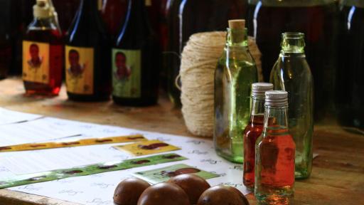 Viche, la primera bebida ancestral colombiana con registro sanitario