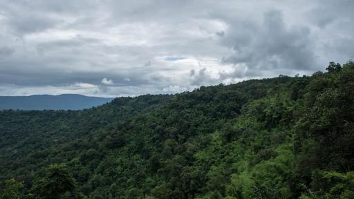 Proyecto de ley que prohíbe el uso del glifosato avanza en el Congreso