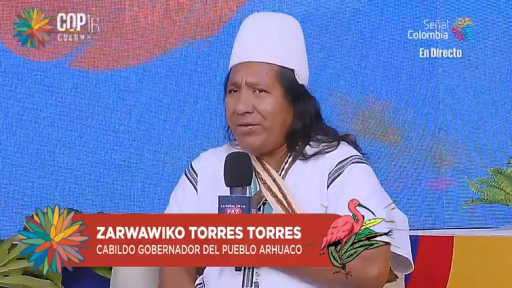 Entrevista a Zarwawico Torres, líder indígena en el Calentao