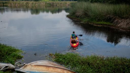 Humedales en Bogotá