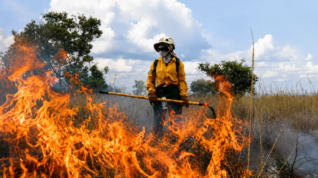Incendio forestal. Foto tomada de internet