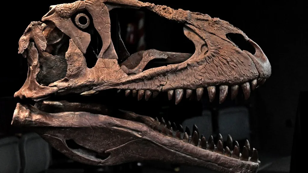 Nueva especie de dinosaurio 