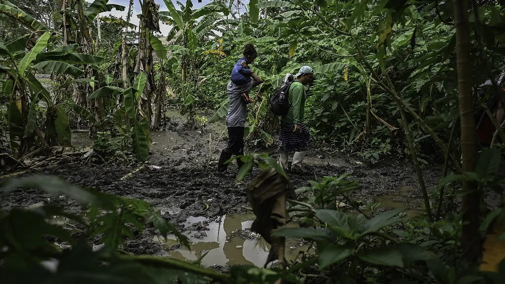Tapón del Darién: cifra de migrantes que cruzaron se duplicó en 2022