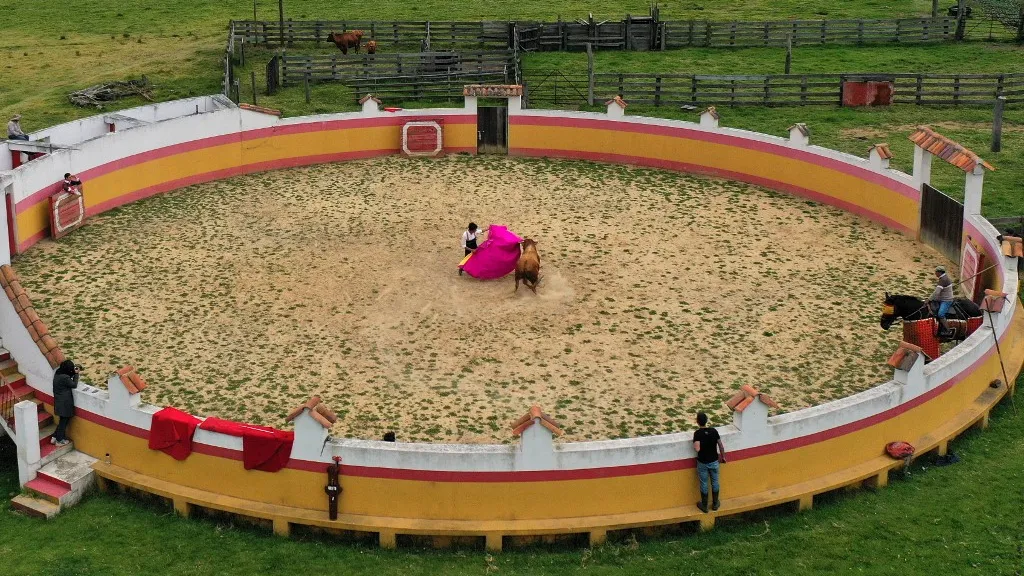 Proyecto de ley para prohibir las corridas de toros se hundió en el Congreso