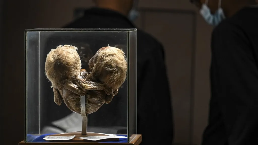 Museo del Ser Humano en Bogotá