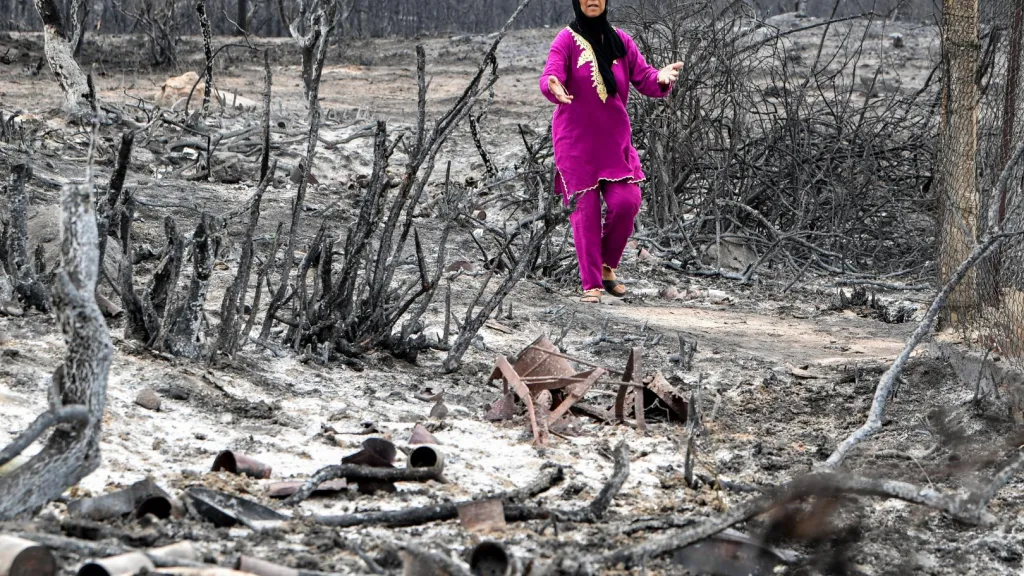 Incendios en Argelia, Grecia, Italia y Francia durante el verano prenden alarmas