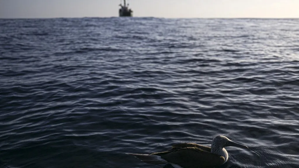 Galápagos: reserva marina en altamar | Greenpeace