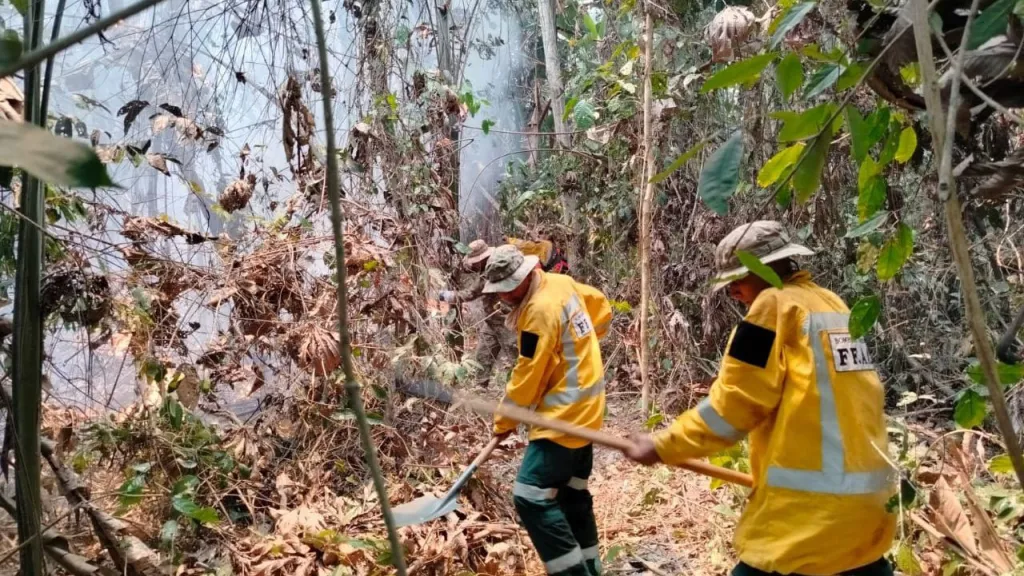 Incendios forestales Bolivia: afectaciones, cuántos casos