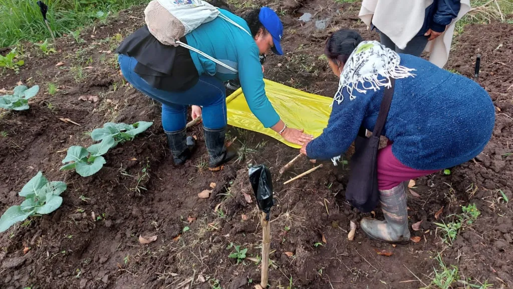 Mujeres campesinas en Colombia: la asociación Renacer en Putumayo