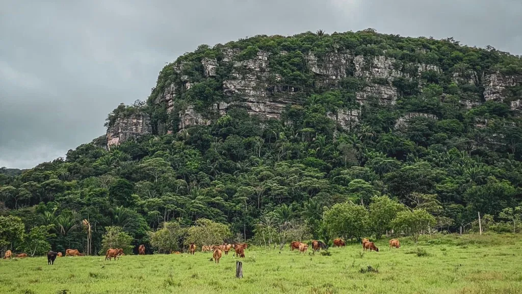 Guaviare, tercer departamento con la deforestación más alta