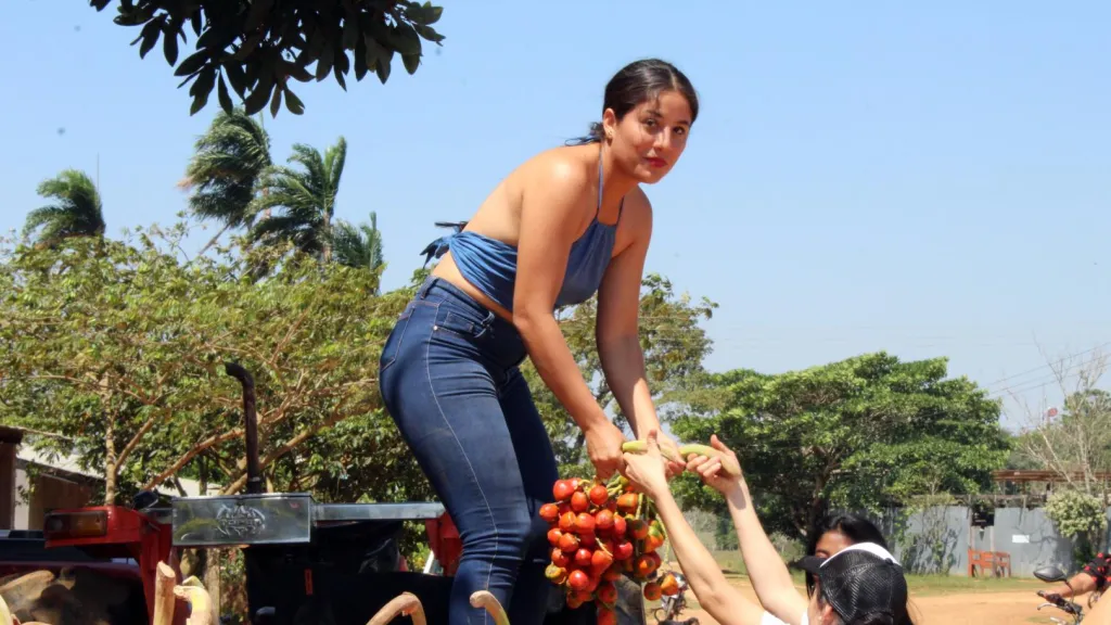 Productos del chontaduro en el Guaviare | Mujeres emprendedoras