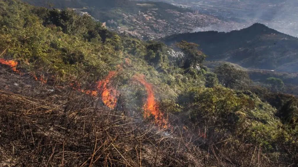 Incendios forestales: 263 municipios están en alerta roja