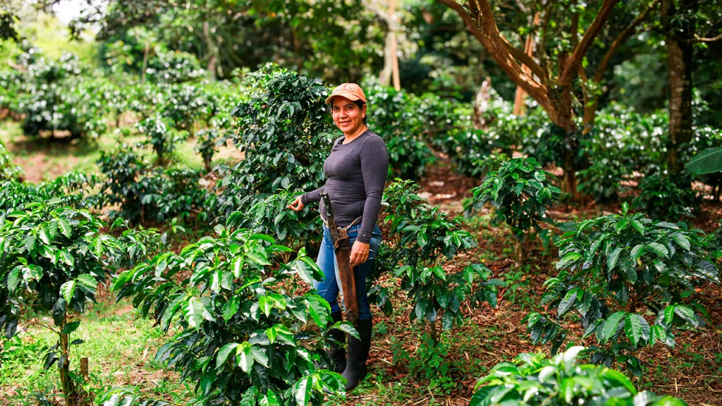 Incremento agroexportaciones en abril 2024