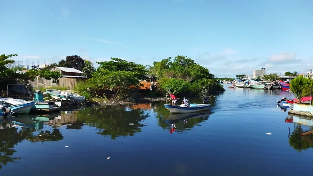 Cuidado del medio ambiente 