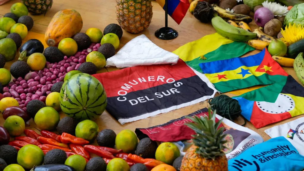 Disminución desplazamiento forzado Nariño diálogos Comuneros del Sur
