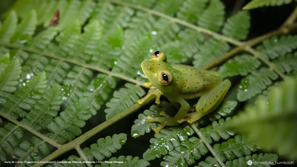 Fotografía: 15 postales que exaltan los recursos naturales del país