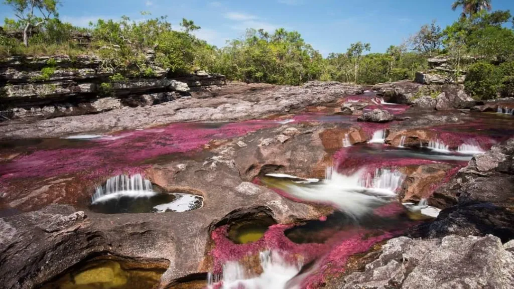 Cormacarena ordenó el cierre de visitas a Caño Cristales