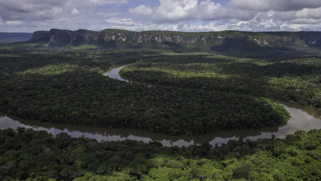 Ante deforestación, piden destruir carretera ilegal en el Parque Nacional de Chiribiquete 