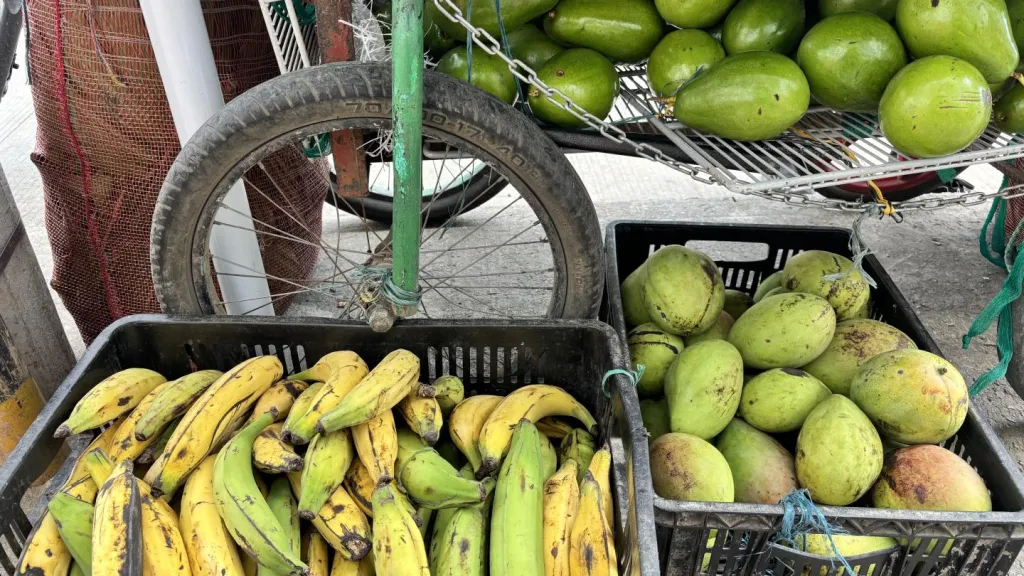 Día Internacional de los Vendedores Ambulantes en Colombia 2025