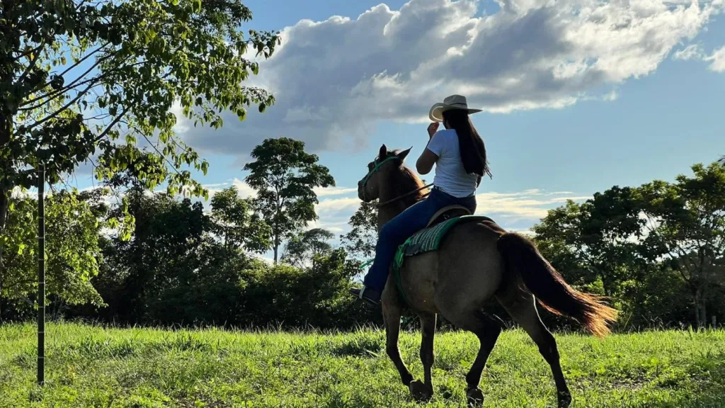 Papel de las mujeres araucanas en el llano
