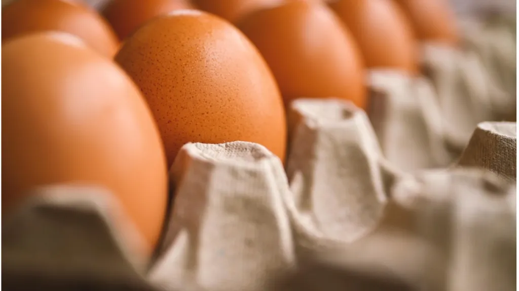 Alimentos bajaron de precio en enero, según el DANE