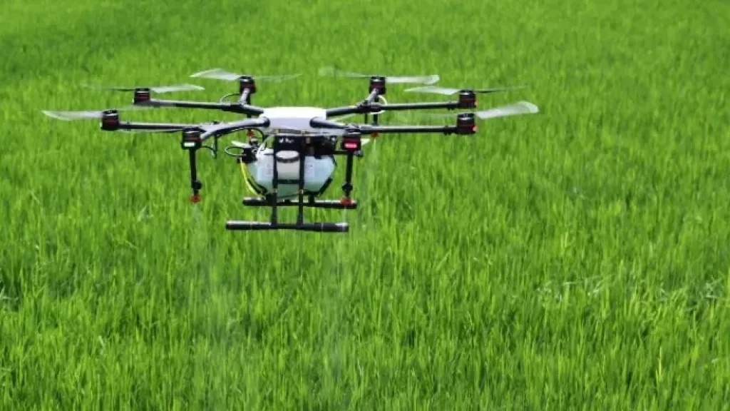 Gobierno autoriza aspersión con drones cultivos ilícitos