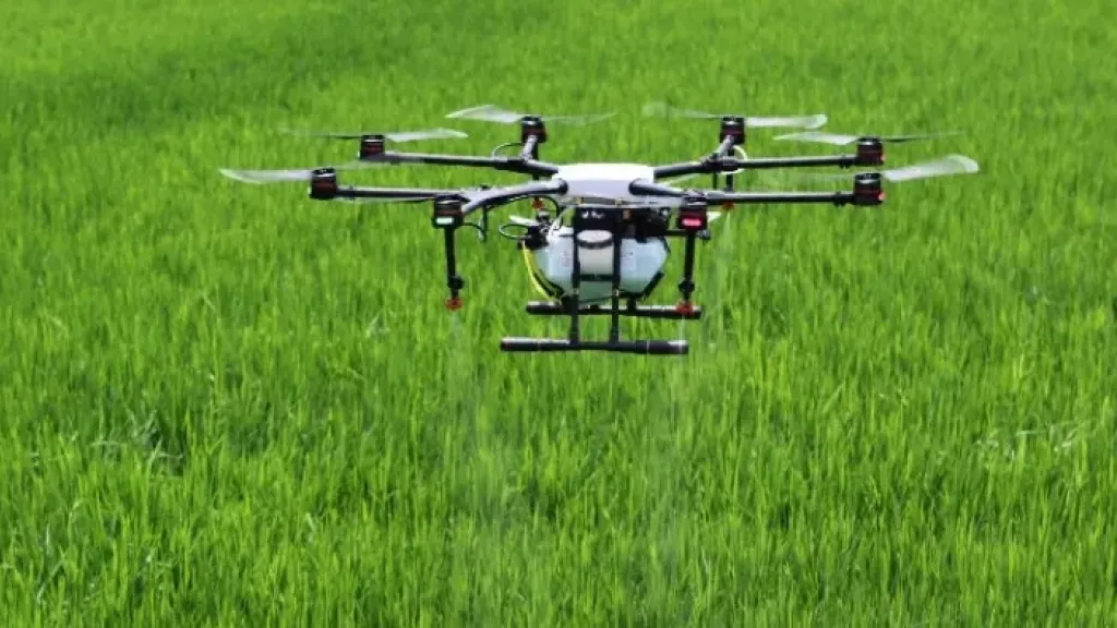 Gobierno autoriza erradicación con drones cultivos ilícitos