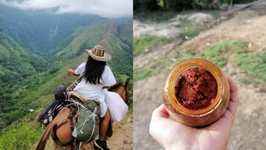 Sierra Nevada de Santa Marta | Una expedición de la gastronomía arhuaca
