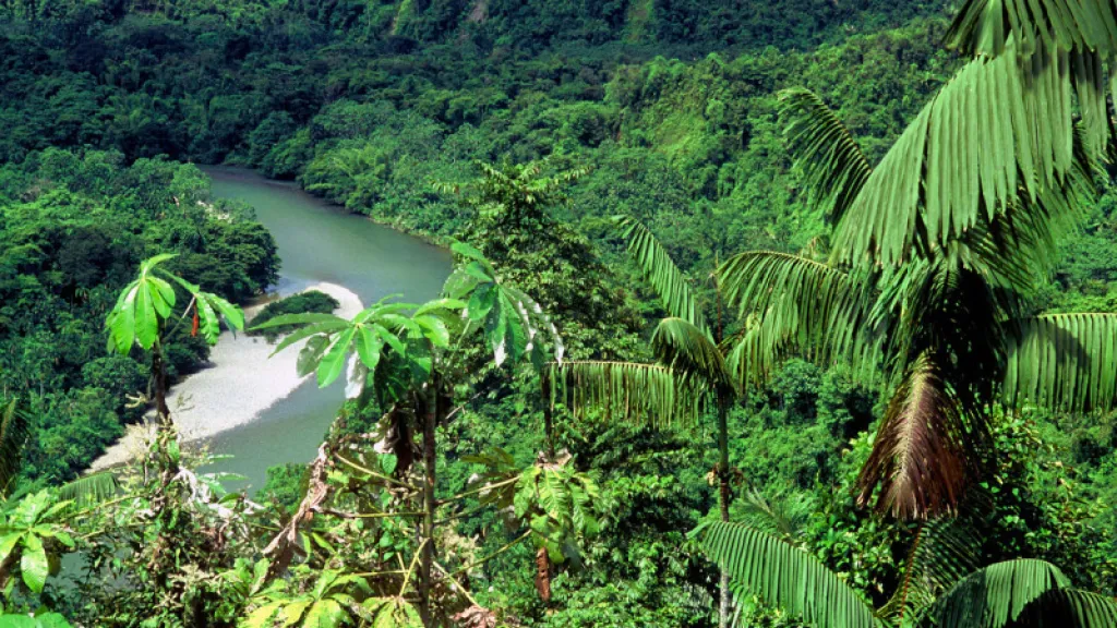 Bosques en Colombia