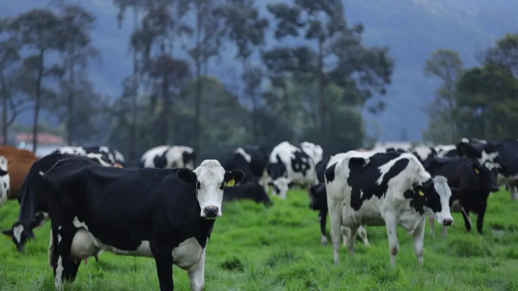 Decreto desgravará importación de insumos agropecuarios