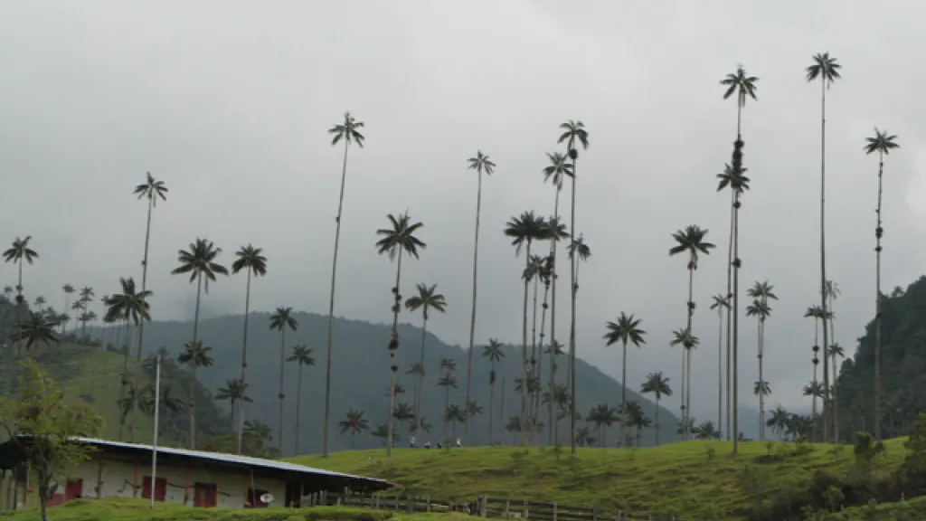 Destinos turísticos para una navidad mágica en Colombia
