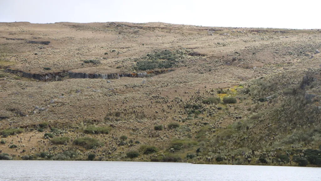 Sumapaz: alerta por posible ingreso de las disidencias de las Farc