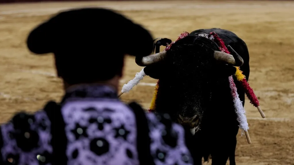 Senado aprobó proyecto que prohíbe corridas de toros en Colombia