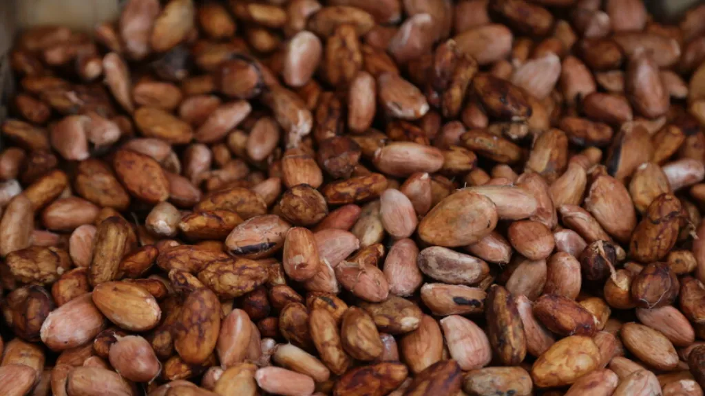 Cacao