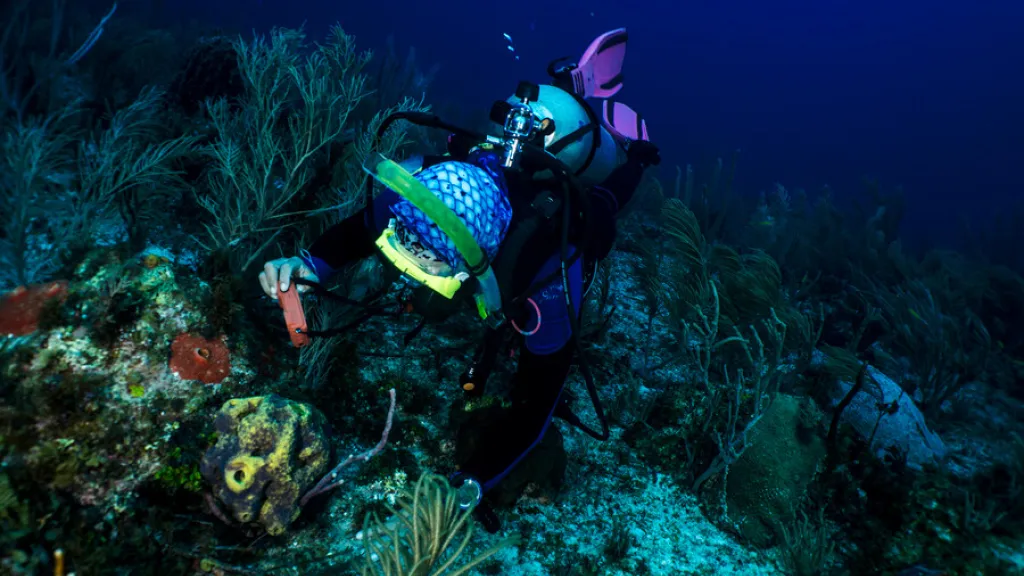 Reserva Seaflower: riesgos de la reserva de San Andrés 2023