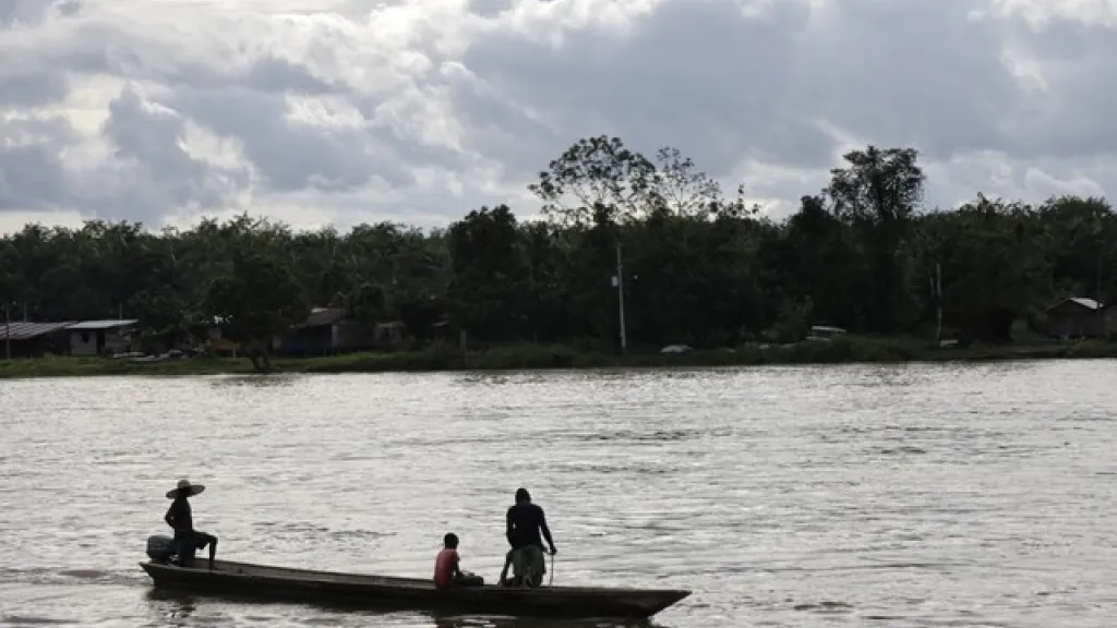 ¿Qué se puede hacer para lograr una pesca sostenible?