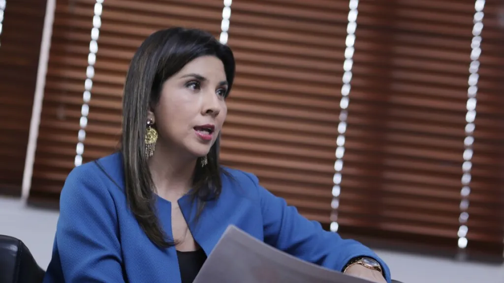 Violencia de género: Universidades tienen seis meses para mejorar protocolos